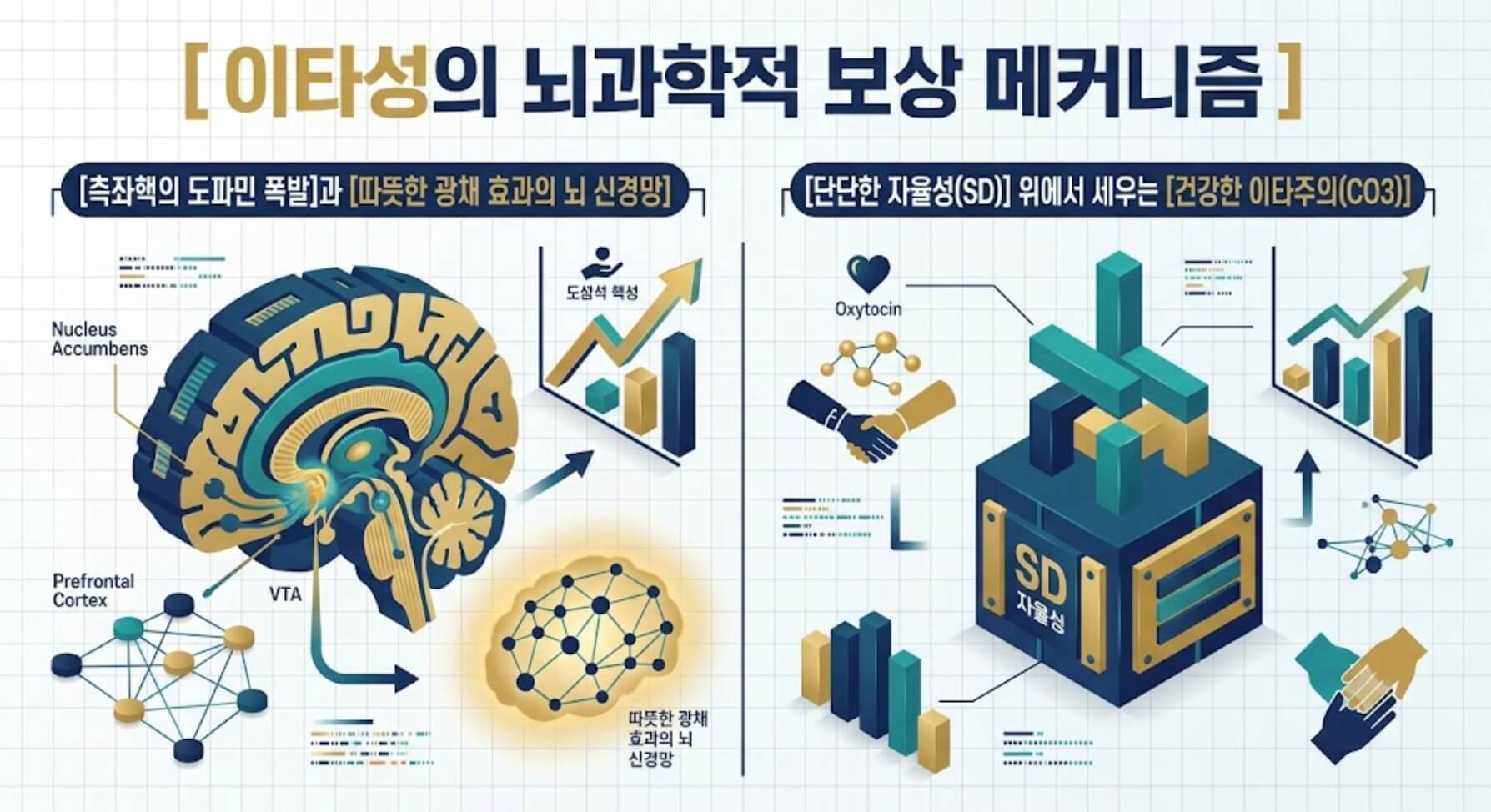이타성 높은 사람의 뇌 보상 회로를 설명하기 위해 측좌핵의 도파민 활성화와 자율성 기반의 건강한 이타주의 메커니즘을 요약한 국문 타이틀 포함 3D 테크니컬 인포그래픽 이미지
